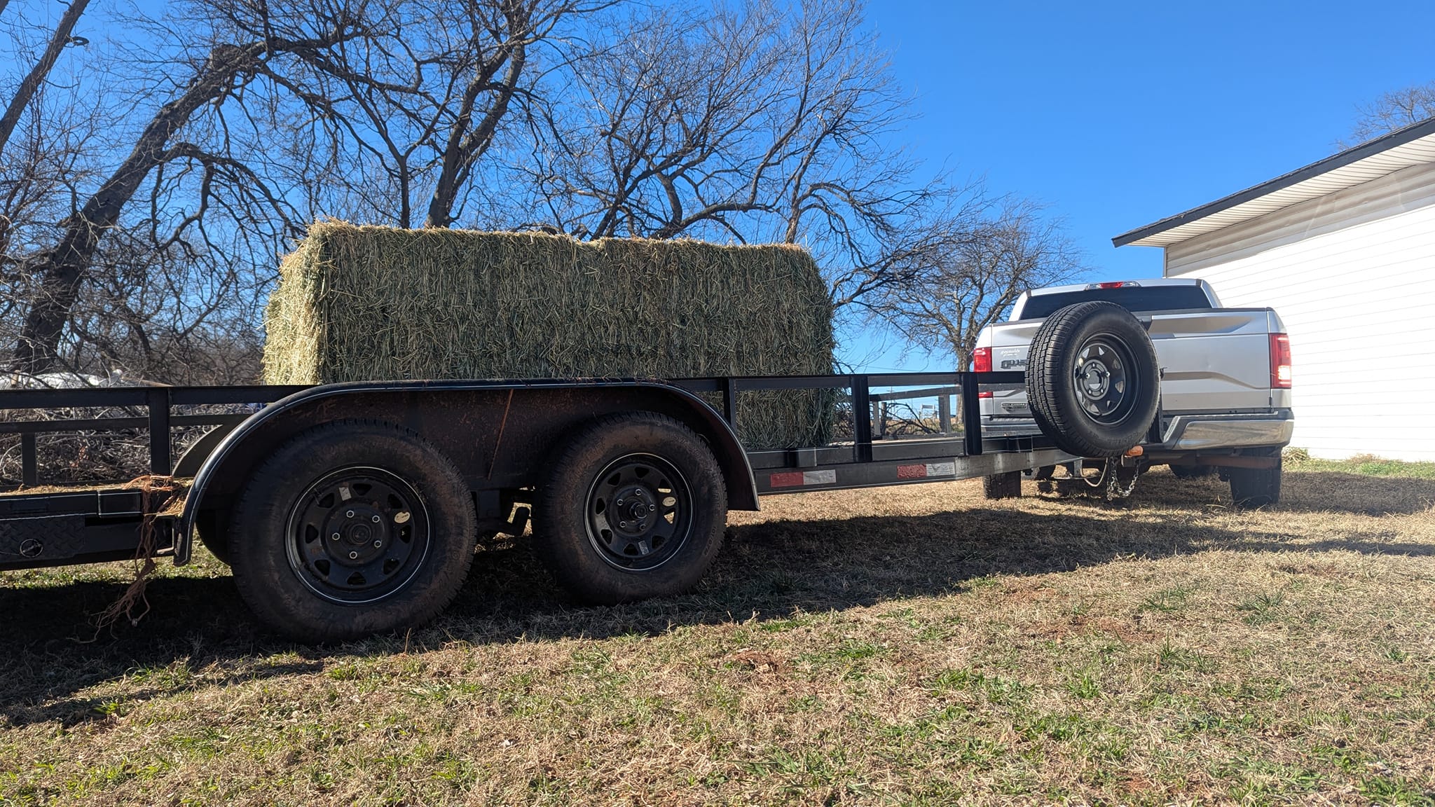 A quick introduction to farm sitting